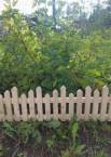 Деревянный забор "Палисад" 30х100 см (декоративный)